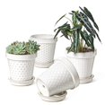 thumbnail image 1 of LE TAUCI Ceramic Plant Pots, 6 Inch Flower Pot with Drainage Hole & Saucer, Embossed Planter Pots for Indoor Plant Succulent, Orc, 1 of 6
