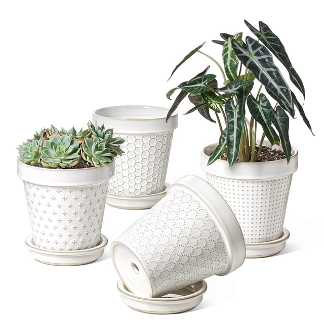 LE TAUCI Ceramic Plant Pots, 6 Inch Flower Pot with Drainage Hole & Saucer, Embossed Planter Pots for Indoor Plant Succulent, Orc