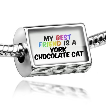 Bead My best Friend a York Chocolate Cat from United States Charm Fits All European