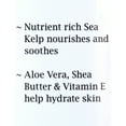 Dr Teal's Sea Kelp Body Wash, 24 fl.oz.