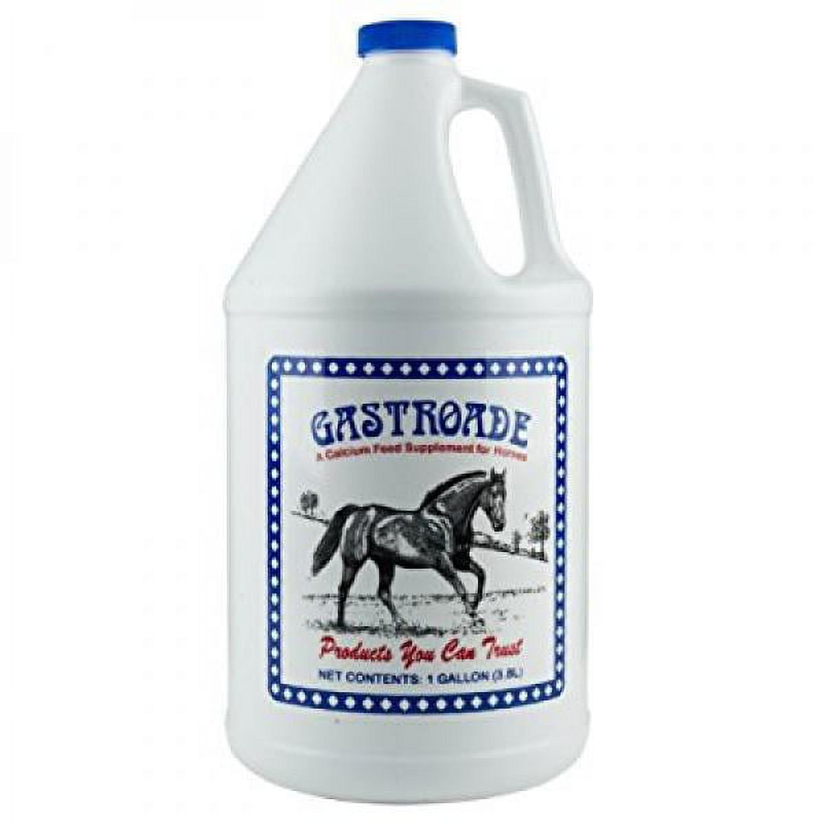 Cox Veterinary Gatorade Gallon, Horse