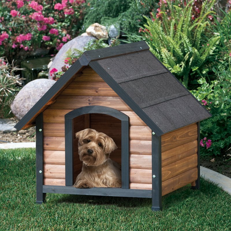 small dog house outdoor