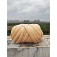thumbnail image 1 of Nvzi Hilo de terciopelo grueso de 500 g, hilo de tejer con brazos gigantes voluminosos, hilo de peso de tubo gigante súper suave, crochet esponjoso para hacer tú mismo para mantas, amarillo huevo, 1 of 4
