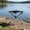 Black#2886, variant on Violete Portable Heavy Duty Telescoping Folding Stool, Stainless Steel Frame, Black Oxford Seat, 13.7 x 12.2 in, 300 lb Capacity for Camping, Fishing, Hiking