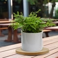 thumbnail image 2 of USHOBE 1Pcs Rotating Tray Multi Functional Round Plastic Plate Turntable For Flower Trimming And Arrangement, 2 of 7