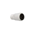 thumbnail image 4 of Watts P-810 0.75 CTS x 0.75 MPT in. Adapter, 4 of 6