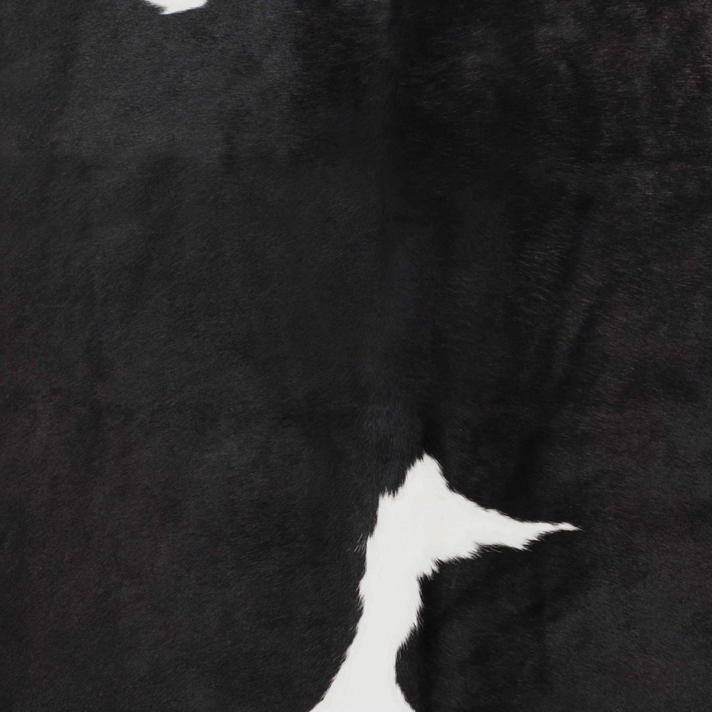 Safavieh  Handmade Cow Hide Lorean Cabin & Lodge Leather Rug Black/White 5'6" x 6'6" 6' x 9' White
