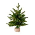 thumbnail image 2 of Adorno de Navidad BLESIY Estatuilla de Árbol de Navidad Coleccionable, 2 of 8