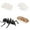 E, variant on Educational Simulation Childrens Best Animal Growth Cycle Model Cartoon Toys