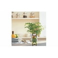 thumbnail image 4 of Hugger Figurine - Turtle (2 Pcs) Garden Decor - Flower Pot Hugger Figurine - Hanging Planter Decorations - Patio and Yard Decor, 4 of 4