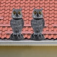 Photo inspiration: Picture Idea: 3 Pack Bird Scarecrow Fake Owl Decoy Sculpture Rotating Head