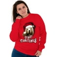 thumbnail image 3 of Funny Christmas Santa Bear Pun Unisex Plus Fleece Graphic Sweatshirt Brisco Brands 4X, 3 of 4