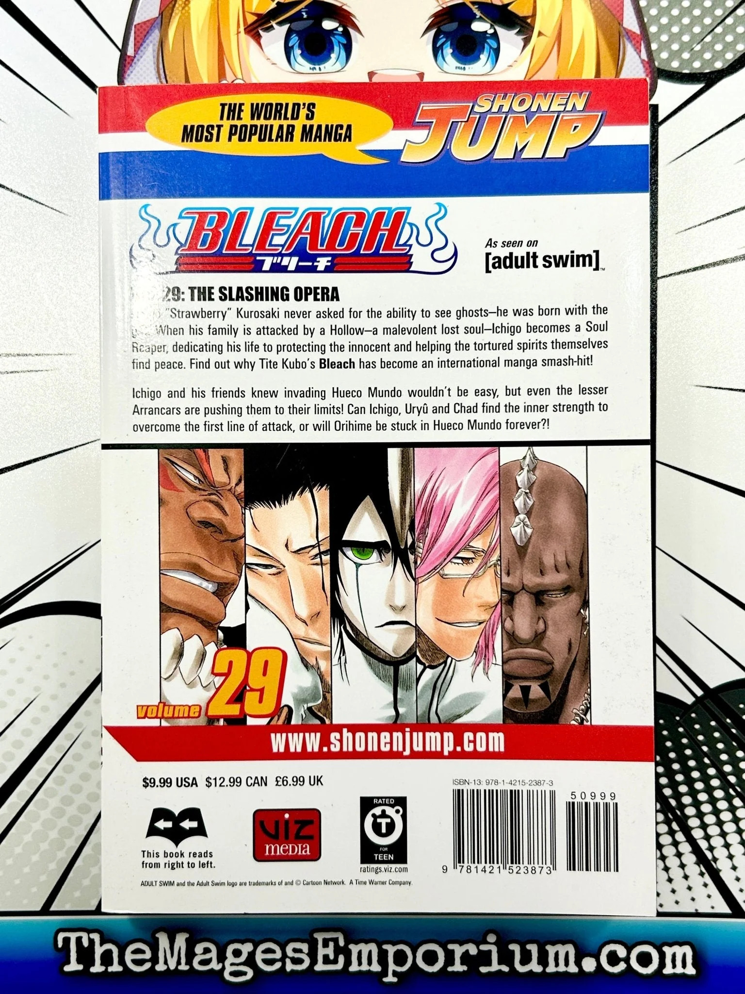 Shonen Jump Manga (Paperback) Bleach, Vol. 29, (Paperback