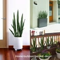 thumbnail image 4 of 4 Pack 30" Artificial Snake Plant Potted Sansevieria Trifasciata Plants Outdoor Fake Plants, 4 of 9