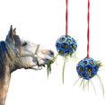 thumbnail image 1 of 2 Pack Hay Bales for Horses, Goats, Sheep, Stress Relief (Blue), 1 of 5