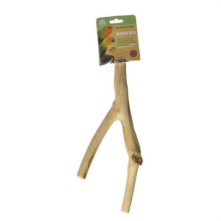 Prevue Naturals Y-Branch Perch - Coffea Wood [Bird, Perches Wood] 12"L x 1/2"-1"D - (Small-Medium Birds)