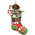 thumbnail image 2 of Adornos navideños acrílicos DGLQMYX, adornos navideños para mascotas, 3.14 pulgadas, calcetín navideño colgante, colgante para árbol de Navidad, adornos navideños acrílicos portátiles y lindos., 2 of 6