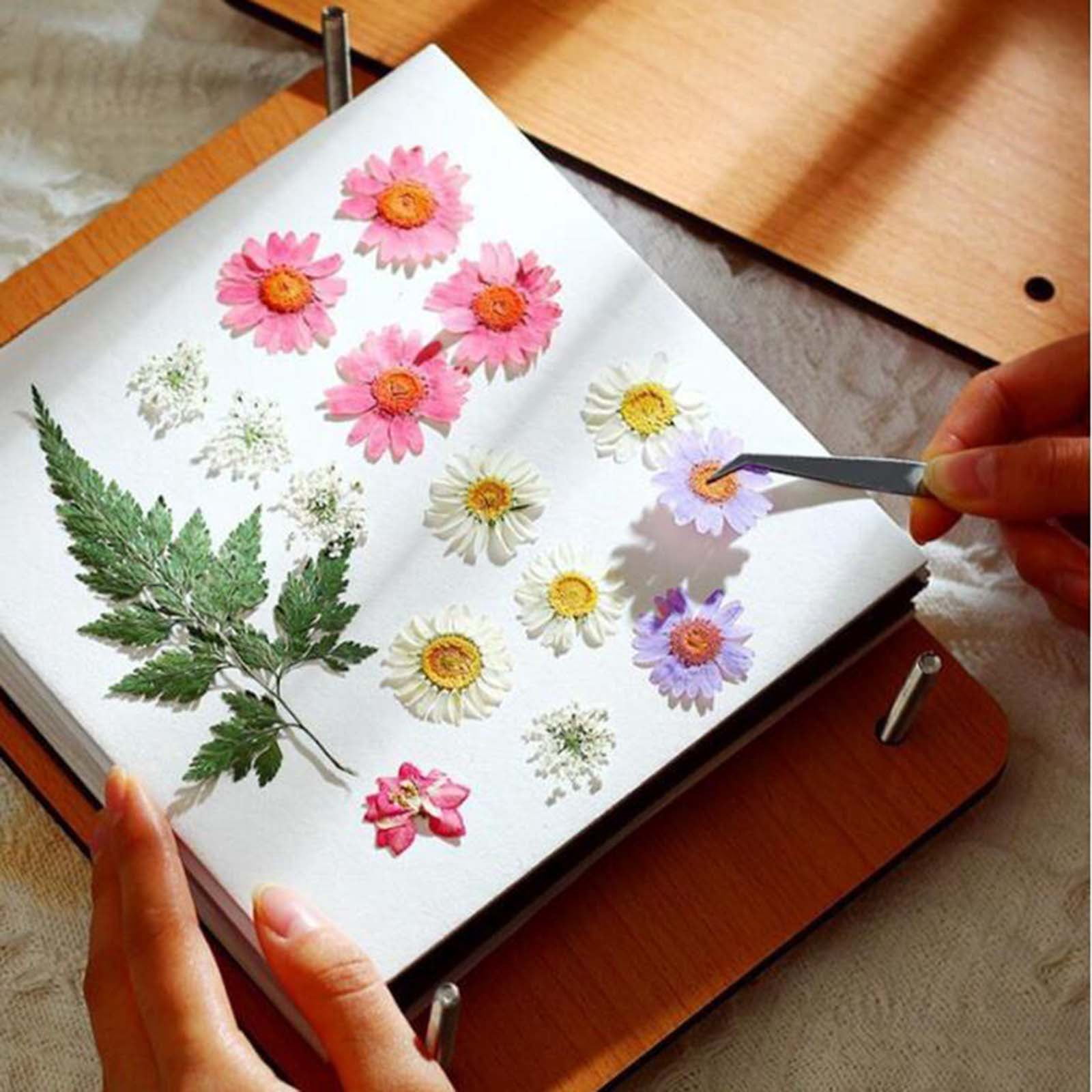 Abbraccia Press Flower Book, DIY herbarium, 9.45 x 7.09 Inches Arts Crafts Leaf Pressing Book, Tools for Photo Artworks Bookmarks