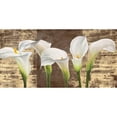 thumbnail image 3 of Thomlinson, Jenny 18x11 Black Modern Framed Museum Art Print Titled - Callas on Gold (mocca variation), 3 of 5