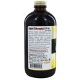 thumbnail image 3 of Dynamic Health Liquid Chlorophyll - 100 mg - 16 fl oz, 3 of 3