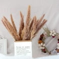 thumbnail image 3 of 10 cañas de hierba de pampa natural, decoración de ramo de flores secas de hierba de pampa seca (azul) Sailing Electrónica, 3 of 5