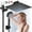 Black, variant on GPED Dual Shower Head Combo, 8‘’ High Pressure Rainfall with 11” Extension Arm(Adjustable Height/Angle), Handheld Shower Head w/ 5 Settings&Holder, Anti-Clog Nozzles&Anti-leak 60" Hose, Chrome
