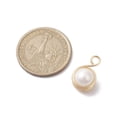 thumbnail image 2 of 20pc Natural Cultured Freshwater Pearl Copper Wire Wrapped Connector Charms Round Links Light Gold 16~16.5x10~11x9.5~10mm Hole: 3mm, 2 of 4