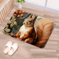thumbnail image 5 of Squirrel Polyester Non-Slip Machine Washable Indoor Door Area Office Rug, 5 of 6
