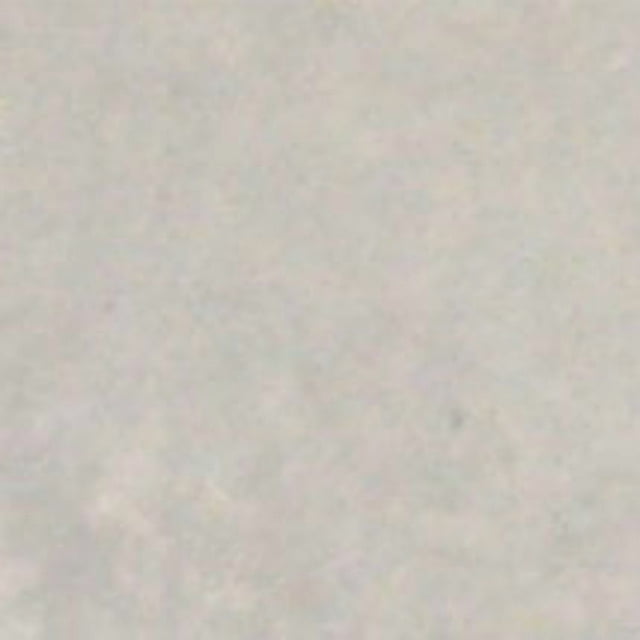 Walttools / Dry Shake Durcisseur de Couleur pour Pigment de Béton (Extérieur)