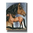 thumbnail image 1 of Epic Graffiti 'Kiger Mustang' by Barbara Keith, Canvas Wall Art, 12"x16", 1 of 8