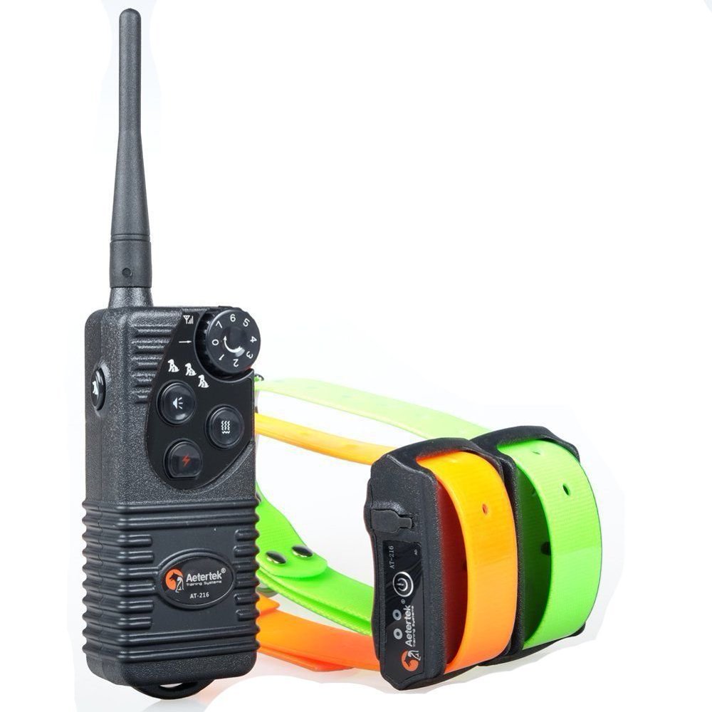 Aetertek AT216 Remote Two Dog Training Collar Beep Vibration Shock