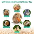 thumbnail image 6 of 16 PCS Rabbit Chew Toys and Bunny Toys, Large Natural Loofah for Teeth Grinding, 6 of 7