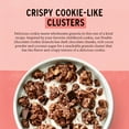 thumbnail image 4 of Purely Elizabeth Cookie Granola, Double Chocolate, Gluten-Free, Non-GMO (11oz Bag), 4 of 6