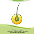 thumbnail image 2 of Vitamines pour la pousse des cheveux avec biotine Priorin – Vitamines pour les cheveux destinées à stimuler la pousse des cheveux chez les hommes et les femmes; réduit la perte de cheveux après le lav, 2 of 10