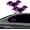 Purple, variant on Solar Powered Bat Night Car Light Cool Glow Projection for Vehicles USB Sun Charging LED Nighttime Decor Ambient Devil Eyes Shapesignal Projector Wireless Auto Lamp Gadget Gift Mens(Multicolor,2PCS)