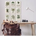 thumbnail image 2 of Stupell Industries Antique Leaves Vintage Studies Graphic Art Gallery Wrapped Canvas Print Wall Art, Set of 9, Design by Vision Studio, 2 of 6