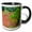 Black/White, variant on 3drose, Blueberry, Spruce Fir, Pitch Pine, Acadia Np, Maine - Us20 Aje0048 - Adam Jones, 11oz Two-tone Black Mug