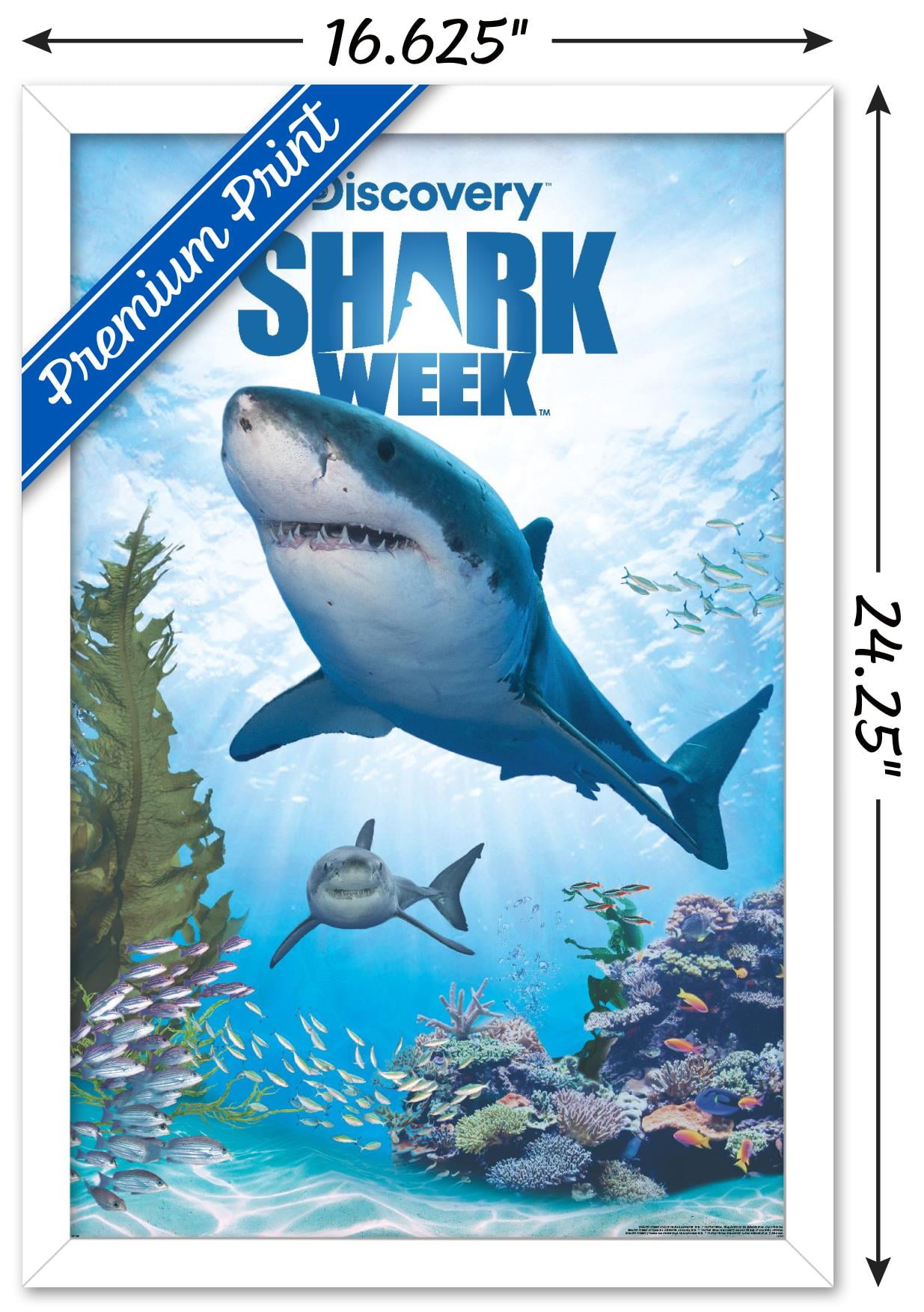 1232ddf0-d837-4b39-a7ff-