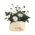 thumbnail image 2 of Matsuzay Simulación de bonsái, macetas artificiales, flores falsas, decoración de seda, alivio de la presión, dulce regalo, decoraciones de Type2 NO2, 2 of 6