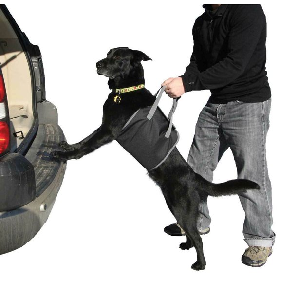 Easy Lift Padded Dog Harness Handle Strap Lift Senior Injured Pets into