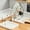 White, variant on Two in One Kitchen Countertop Organizer with Stainless Steel Lid Rack and Cutlery Spoon Holder for Space Saving and Easy Cleaning