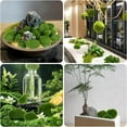 thumbnail image 5 of 60 Pcs Artificial Green Moss Balls Faux Artificial Moss Rocks Decorative Covered Moss Stones Fake Green Moss Decor for Fairy Garden Potted Plants Landscaping Table Centerpiece Floral Decor (5 Size), 5 of 11
