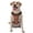 With Accessories, variant on Vsdgher American Football1 Pattern Dog Harness,No Pull Pet Harness with Soft Padded Handle,Adjustable Reflective Vest with 2 Buckles,4 Slide Buckles,S-XL Large