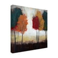thumbnail image 4 of Canvas Wall Art - Sasha 'Manchester Autumn II' Wall Art for Living Room, Bedroom, or Office Décor by Trademark Fine Art - 24 x 24 Inches, 4 of 4