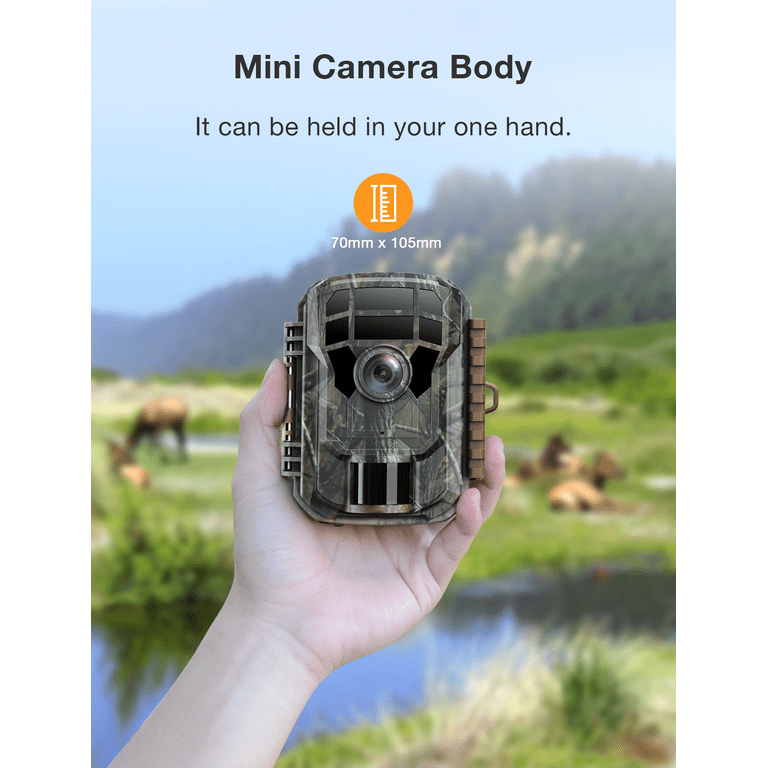Deer Hunting Cameras
