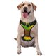 thumbnail image 1 of Balery Sunflower3 Arnés para Perros Grandes Antitirones, Arnés con Correa para Gato, Arnés Tipo Chaleco para Perros Pequeños-Small, 1 of 6