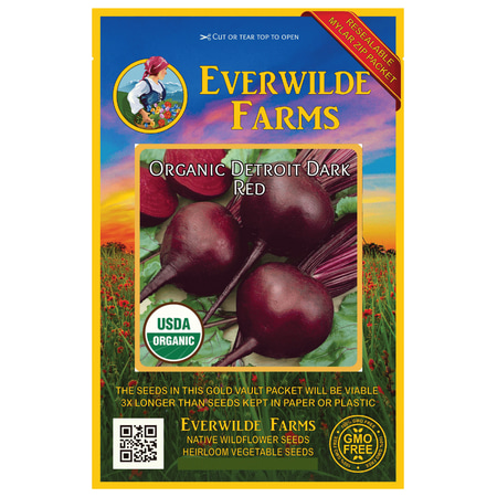 Everwilde Farms - 500 Organic Detroit Dark Red Beet Seeds - Gold Vault Jumbo Bulk Seed