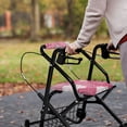 thumbnail image 4 of HELLHERO Rose Rollator Walker Seat Covers and Rollator Seat Covers for Seniors Breathable for Stain Proof,Valentine's Day Gifts, 4 of 7