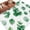 White, variant on Eucalyptus Leaves Area Rugs 3'x5', Washable Small Throw Rugs for Living Room Bedroom, Sage Green Weeping Leaf Plants Spring Indoor Outdoor Rug Non-Slip Low Pile Carpet Runner Reversible Floor Mats