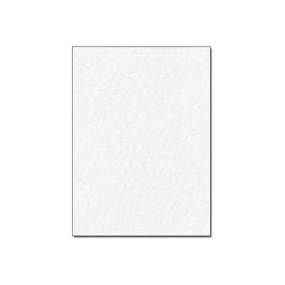Promaster - Background - cotton / polyester - 10 ft x 11.8 ft - white